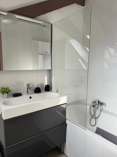 une salle de bain blanche avec un lavabo et une douche dans l'établissement Le Cocon de l'Arc, parking free, à Mulhouse