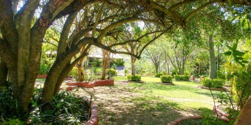 Jardín al aire libre en Montrose River Lodge