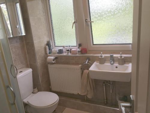 a bathroom with a toilet and a sink and a window at Beautiful 3 Bedroom Home in St Albans in Saint Albans