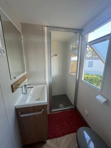 a small bathroom with a sink and a mirror at Mobile Home 450 4-6 pers Camping Siblu Le Lac des Rêves in Lattes