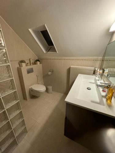 une salle de bain avec un lavabo blanc et des toilettes dans l'établissement Appartement cosy, à Wolfisheim