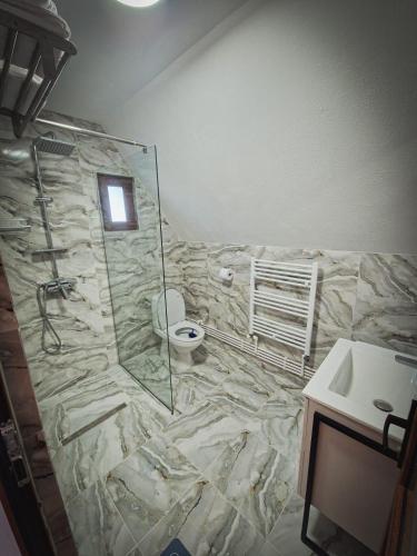 a bathroom with a shower and a toilet and a sink at Alpin Chalet in Rucăr