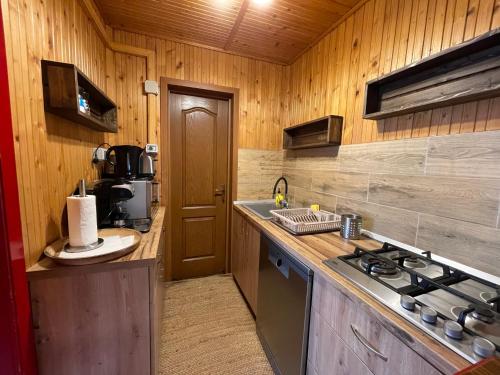 a small kitchen with a stove and a sink at Pensiunea Hétvezér Panzió in Sub Cetate