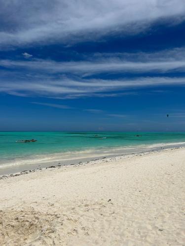 a beach with the ocean and a blue sky at Coco Beach Hotel in Jambiani