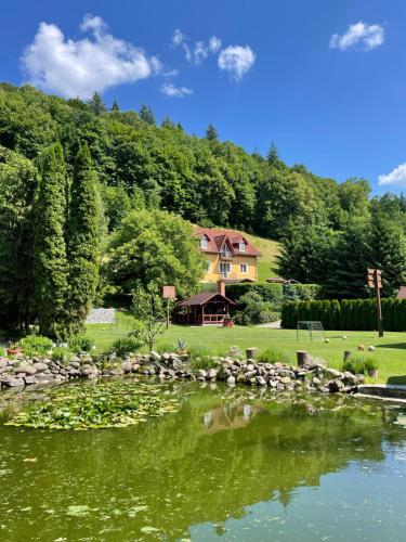 a house with a pond in front of a house at Pensiunea Hétvezér Panzió in Sub Cetate