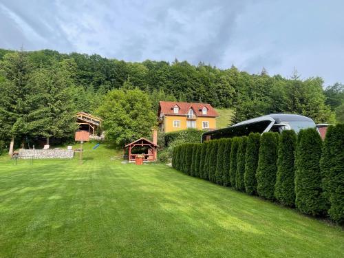 a yard with a house and a hedge at Pensiunea Hétvezér Panzió in Sub Cetate