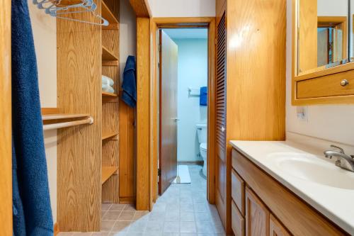 a bathroom with a sink and a toilet at Antiquing and Fishing Riverfront Waupaca Home! in Waupaca
