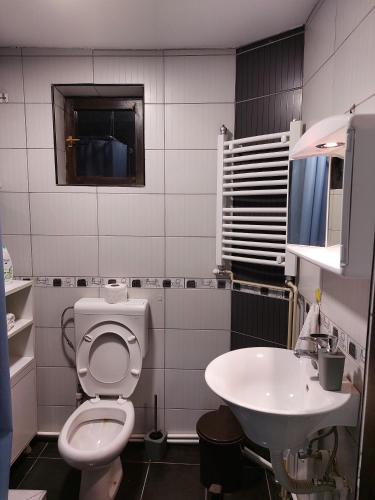 un baño con inodoro y lavabo en R Apartments, en Paraćin