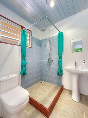 a bathroom with a toilet and a sink at Free canoës King Bed - Fare Vaihere in Moorea