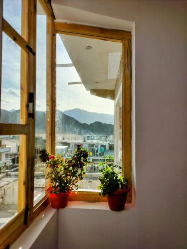 a window with three potted plants on a window sill at Gawa Residency in Leh