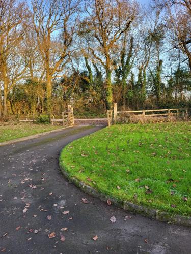 a road leading to a field with trees and a fence at Beech lodge in Wexford