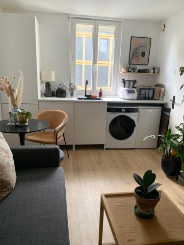 un salon avec un canapé et une cuisine dans l'établissement Studio île de Nantes, à Nantes