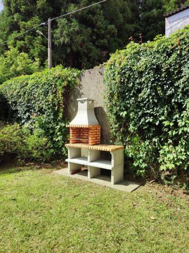 a small object sitting in the grass next to a bush at Chalet da Eirinha in Furnas