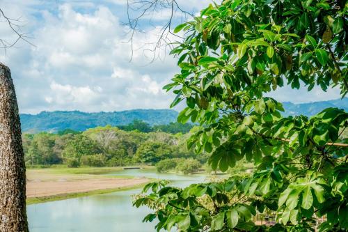 a view of a river from a tree at Mistico Serenity Shores at Nautilus in Playa Hermosa