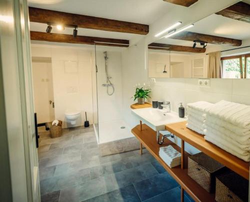 a bathroom with a sink and a shower and a toilet at Landdomizil Zeißig in Hoyerswerda