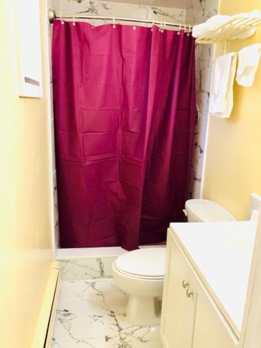 a bathroom with a pink shower curtain and a toilet at Gratiot View Motel in Saginaw