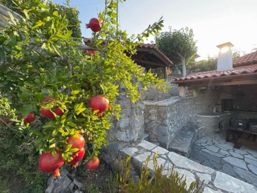 an apple tree in front of a house at Terra Petra Villa at Psari Trikolonon Gortynia in Psárion
