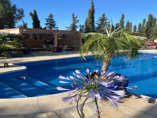 Kolam renang di atau dekat dengan Holiday Home Near Albox