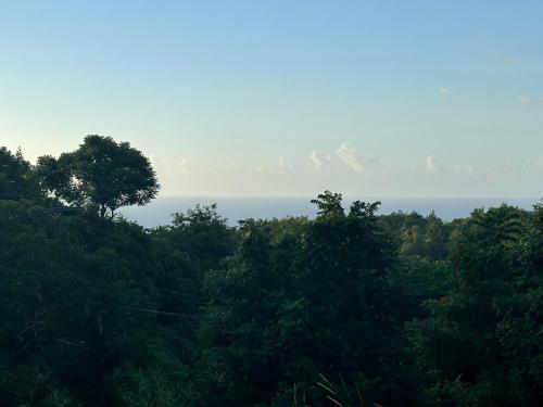 Gallery image of Seaview Oasis in Castries