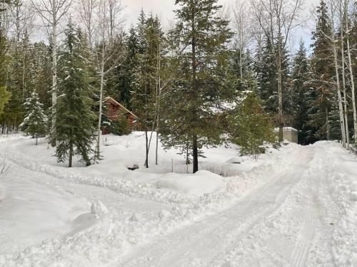 Authentic lofted log cabin with hot tub v zimě