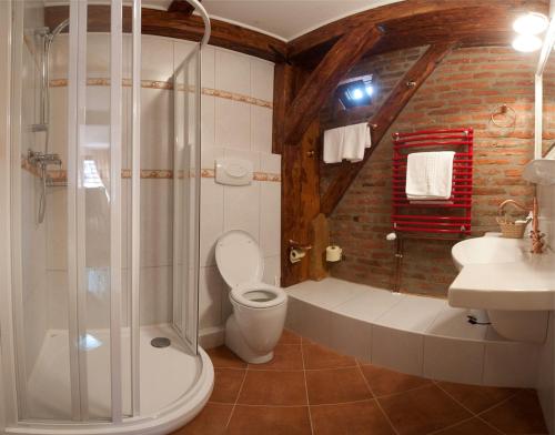 een badkamer met een douche, een toilet en een wastafel bij Casa Wagner in Braşov