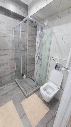 a bathroom with a shower and a white toilet at Air-Moldova N1 in Chişinău