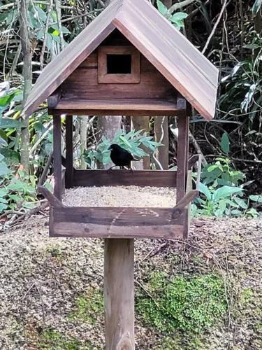 Gambar di galeri bagi Sítio Colibri - casa inteligente di Paulo Lopes