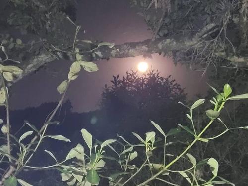 Gambar di galeri bagi Sítio Colibri - casa inteligente di Paulo Lopes