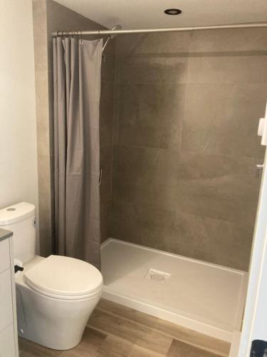 a bathroom with a toilet and a shower at Lakefront Nest Beach House Suite in Penticton