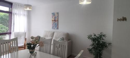 Estepona city center apartment