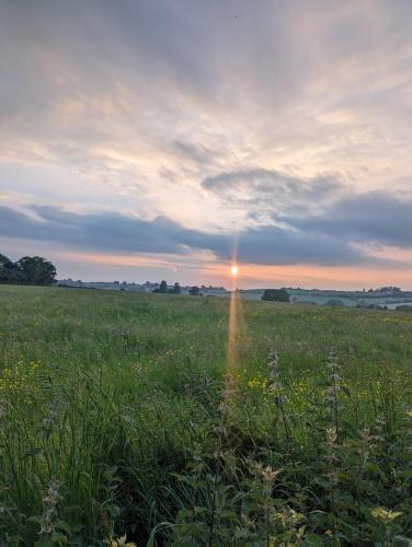 a field of grass with the sun setting in the sky at The Duke Hotel in Hilmarton