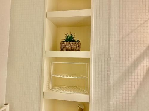 a potted plant sitting on a shelf in a bathroom at STUNNING!!! City-Center!! Retreat with Modern Amenities in Birmingham
