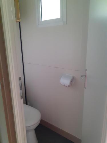 a bathroom with a toilet and a window at Camping Karin in Gornji Karin