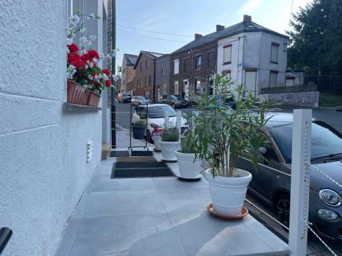 a row of potted plants sitting on a sidewalk at Spacious apartment in Charleroi 100 m² with parking 5 ppl in Charleroi