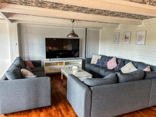 a living room with two couches and a flat screen tv at Ferienhaus Istaby in Sölvesborg
