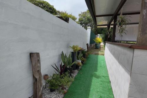 a garden with a white wall and green grass at T3 meublé avec parking et jardin in Matoury