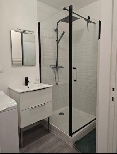 une salle de bain avec une douche en verre et un lavabo dans l'établissement Escapade Culturelle - Studio Roubaix, à Roubaix