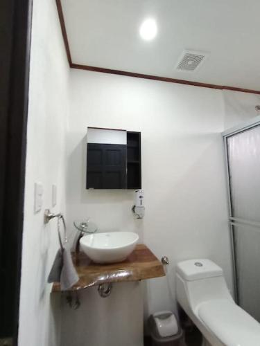 Gallery image of Ventana Paraíso Cabaña con Jacuzzi in Alajuela City