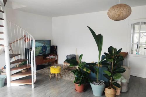 un salon avec des plantes en pot et un escalier dans l'établissement urban jungle - T2 - centre Tourcoing, à Tourcoing