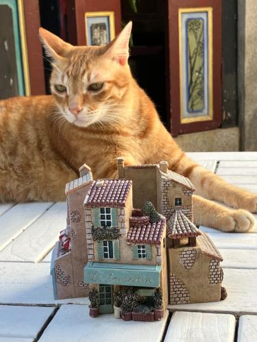 an orange cat laying next to a toy house at Shenten Homestay in Jincheng