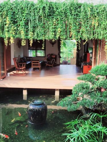 Vườn quanh Sakura Mura Homestay Phú Quốc