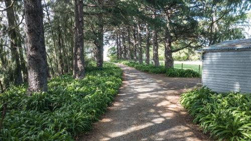 a dirt road with trees and a building at Springfields Homestead - Rapaura Holiday Home in Blenheim