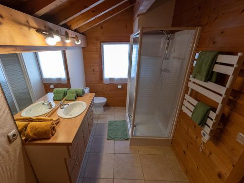 une salle de bain avec toilettes, lavabo et douche dans l'établissement Chalet spacieux 10 pers. près pistes ski, parking privé - FR-1-467-135, au Grand-Bornand