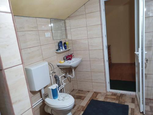 a bathroom with a toilet and a sink and a shower at Vila SCARLET Pielesti Dolj in Cîmpeni
