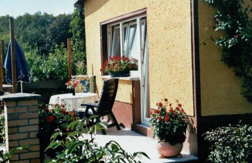 eine Terrasse mit einem Stuhl und einem Tisch mit Blumen in der Unterkunft Ferienhaus Frisch in Sassnitz