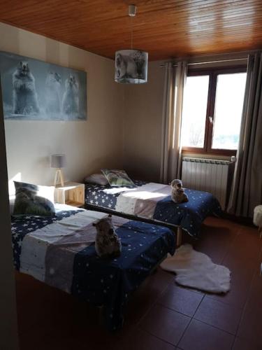 deux lits dans une chambre avec des ours en peluche assis dessus dans l'établissement Maison de montagne FONT ROMEU, à Font-Romeu-Odeillo-Via