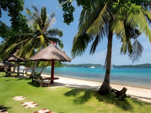 a beach with palm trees and the ocean at Oriental Hill Sabang Resort Puerto Galera in Puerto Galera