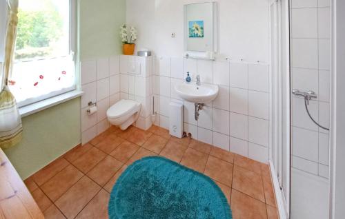 a bathroom with a sink and a toilet at Ferienhaus Jabel Ot Loppin in Loppin