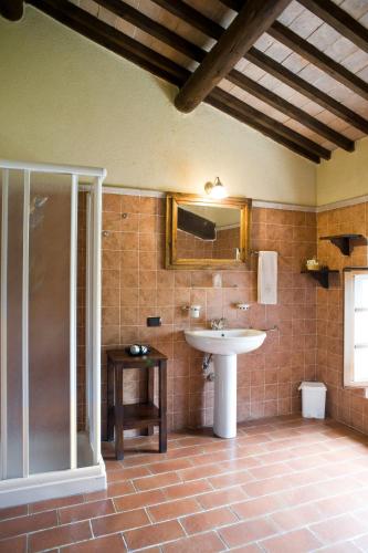 a bathroom with a sink and a shower at I Costanti in Caldiero