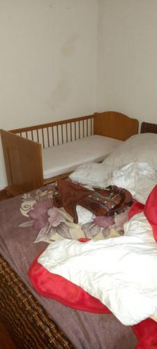 un chien dormant sur le lit dans l'établissement Privat Zimmer in rue des abeilles, à Mulhouse